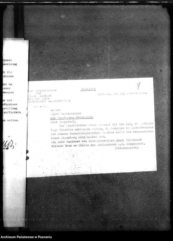 Obraz 11 z jednostki "Zarządzanie i gospodarowanie lasami gminnymi"