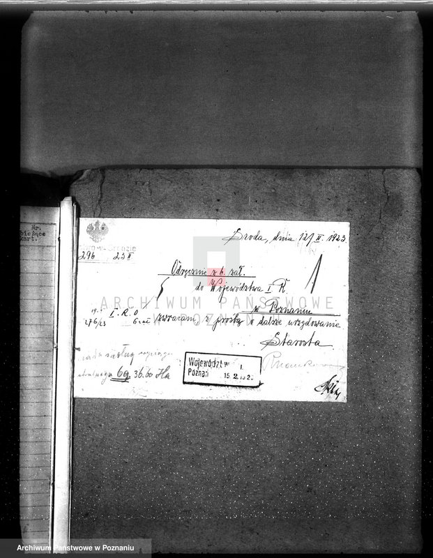 Obraz 5 z jednostki "Nadzór nad gospodarką w lasach majętności Borowo powiat średzki"