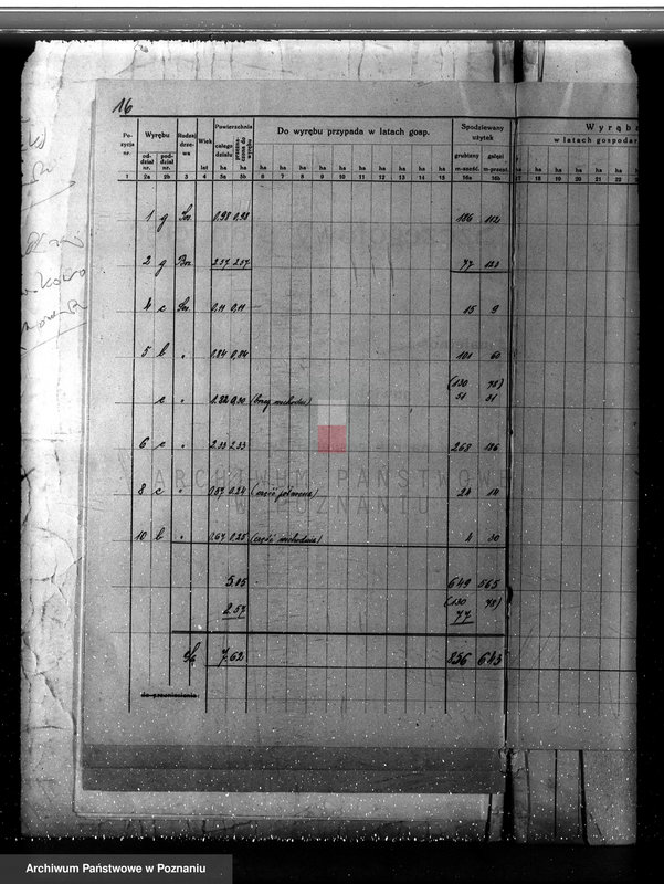 Obraz 20 z jednostki "Plan urządzania gospodarstwa leśnego dla lasu majętności Jezierzyce powiat kościański 1927-1938"