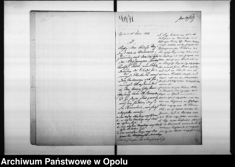 Obraz 19 z jednostki "Acta des Magistrats zu Oppeln betreffend das Statut der alten Schuhmacher Innung"