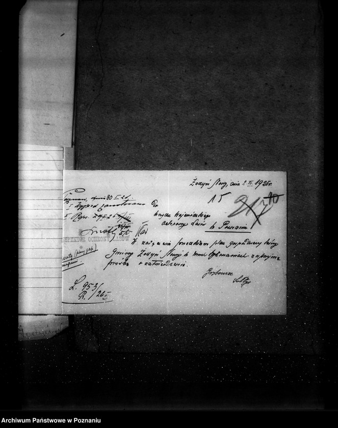 Obraz 19 z jednostki "Las gromady Żodyń Nowy powiat wolsztyński"