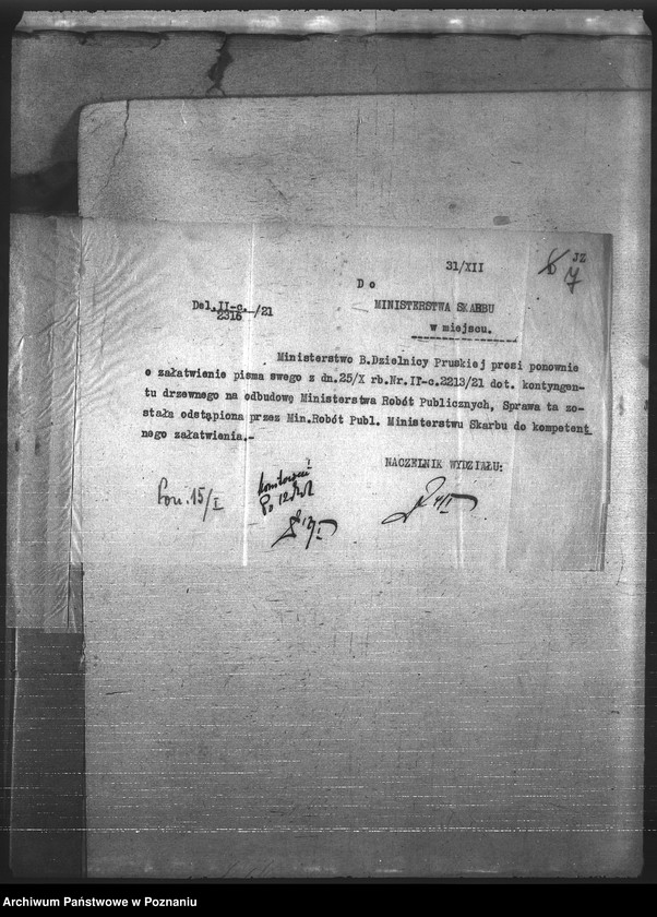 Obraz 10 z jednostki "Leśnictwo"