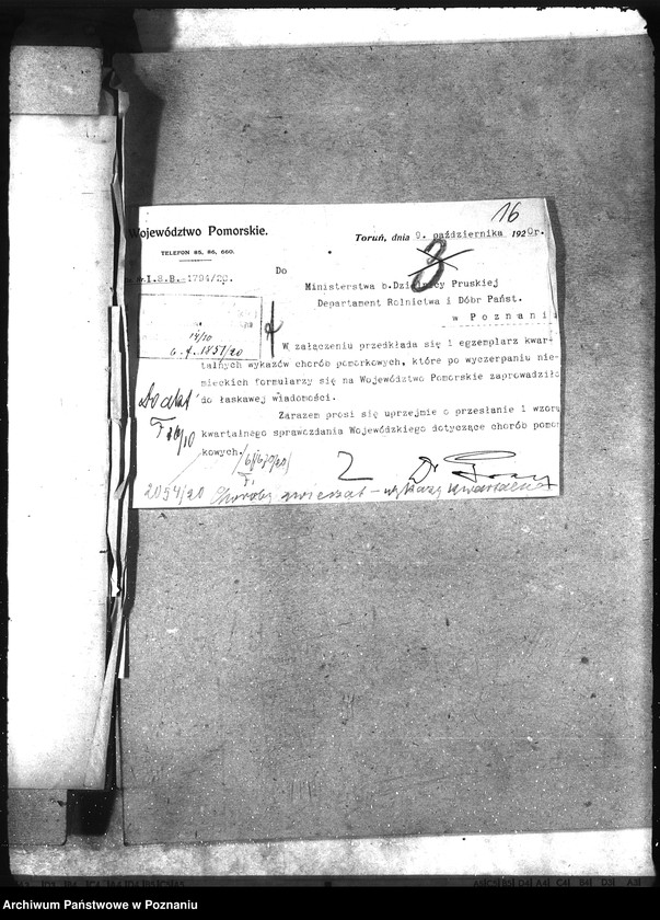 Obraz 20 z jednostki "Wykazy chorób zaraźliwych [kwartalne]"