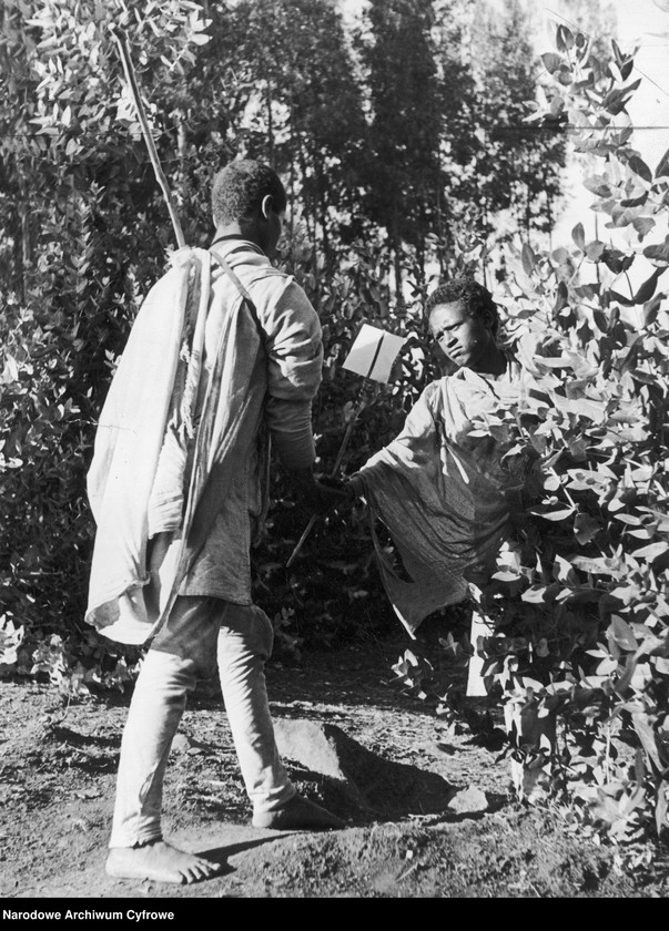 Obraz 3 z kolekcji "Medytacje wiejskiego listonosza111"