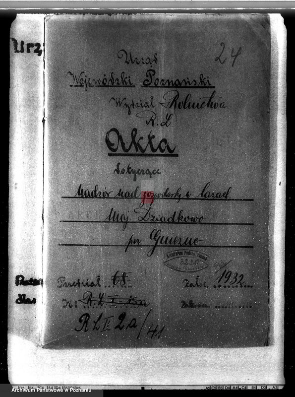 Obraz 4 z jednostki "Nadzór nad gospodarką w lasach majątku Dziadkowo powiecie gnieźnieńskim"