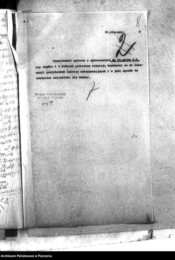 Obraz 12 z jednostki "Weterynarze Powiatowi [specjalne]"