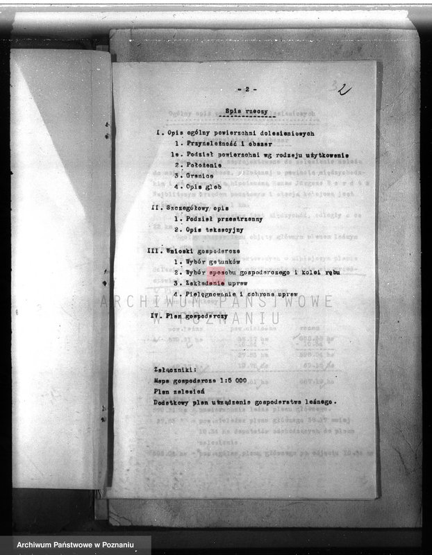 Obraz 4 z jednostki "Dodatkowy plan urządzania lasu dla lasu majątku Lubosz powiatu międzychodzkiego"