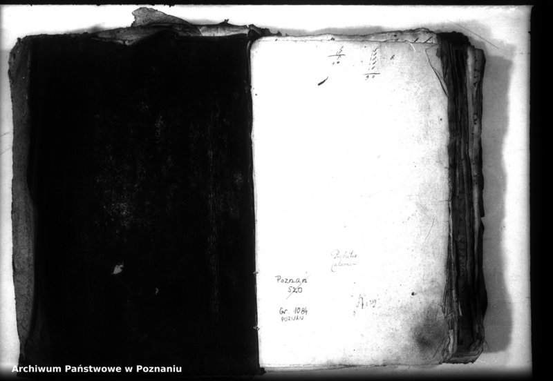 Obraz 3 z jednostki "Relationes [protocollon]"