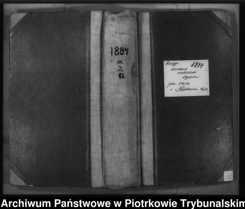 Obraz 3 z jednostki "[Księga duplikat aktów urodzonych, zaślubionych i zmarłych]"