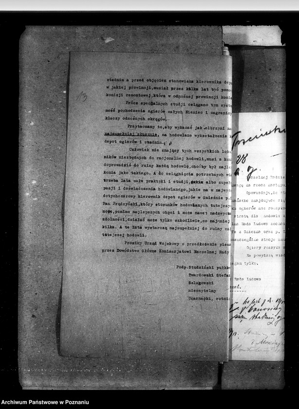 Obraz 18 z jednostki "Sprawy ogólne stadnin"