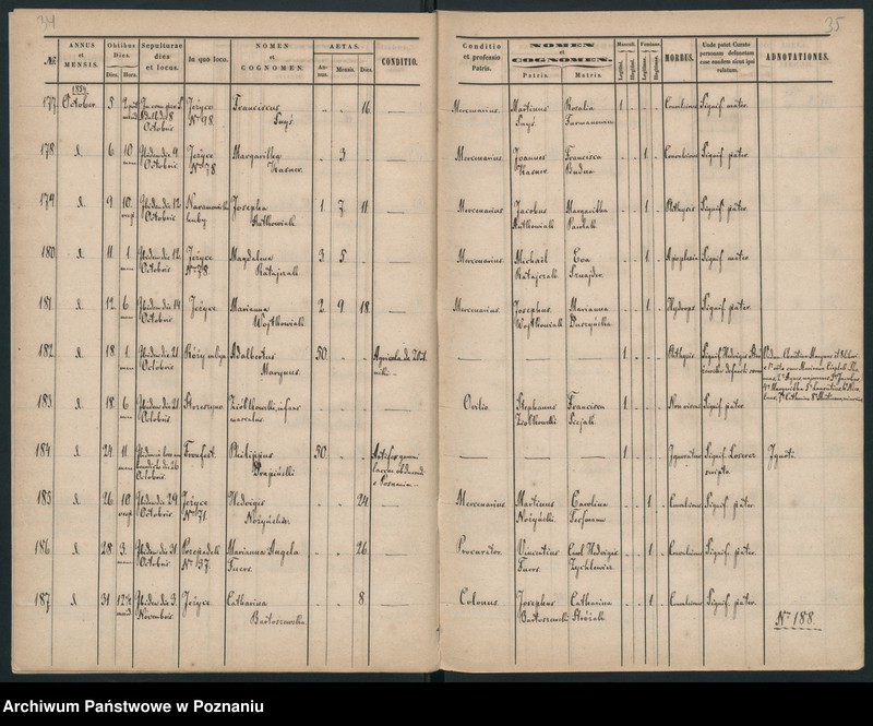 Obraz 20 z jednostki "Księga zgonów"