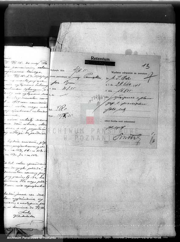 Obraz 19 z jednostki "Nadzór nad gospodarką w lasach majętności Pamiątkowo powiat obornicki"