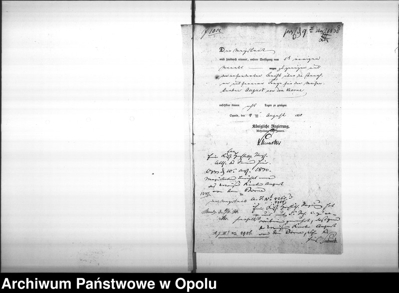 Obraz 10 z jednostki "Acta betreffend die verweigerte Annahme und Sorge für den Weisen-Knaben August von dem Borne. Vol. I"