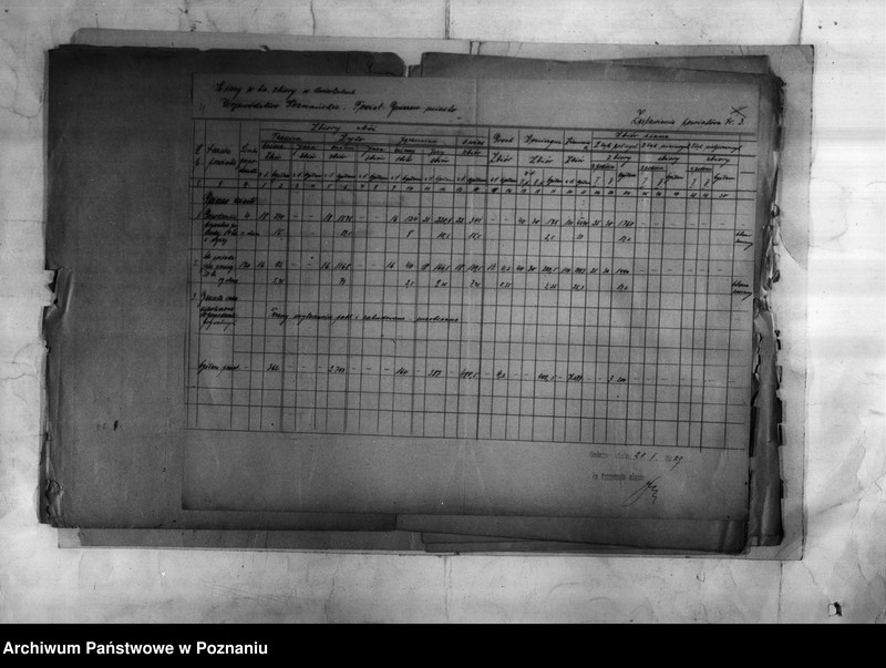 Obraz 6 z jednostki "/Statystyka produkcji rolnej - zestawienie powiatowe z terenu Gniezna/"