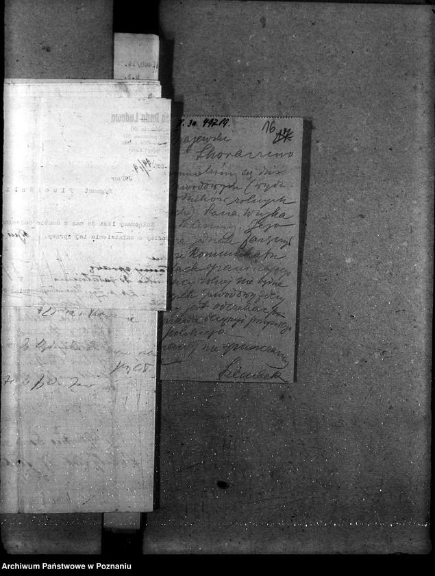 Obraz 20 z jednostki "Kontrakty robotników rolnych [stałych]"