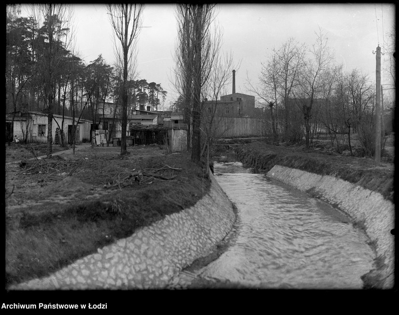 Obraz 1 z jednostki "Fragment miasta, rzeka przed regulacją"