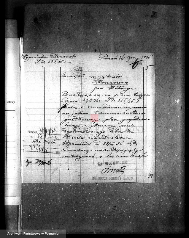 Obraz 10 z jednostki "Majętność leśna Konarzewo powiat krotoszyński"