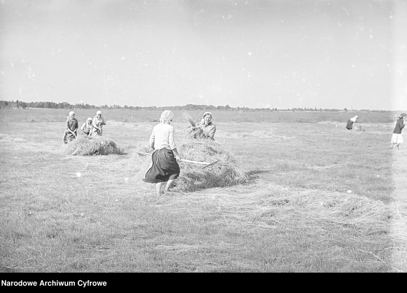 image.from.unit.number "Rolnictwo. Łąki, sianokosy"