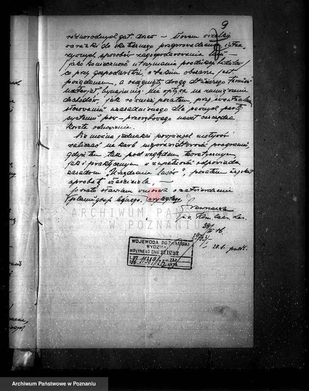 Obraz 14 z jednostki "Majętność leśna Kostrzynek-Mościska powiat wyrzyski"