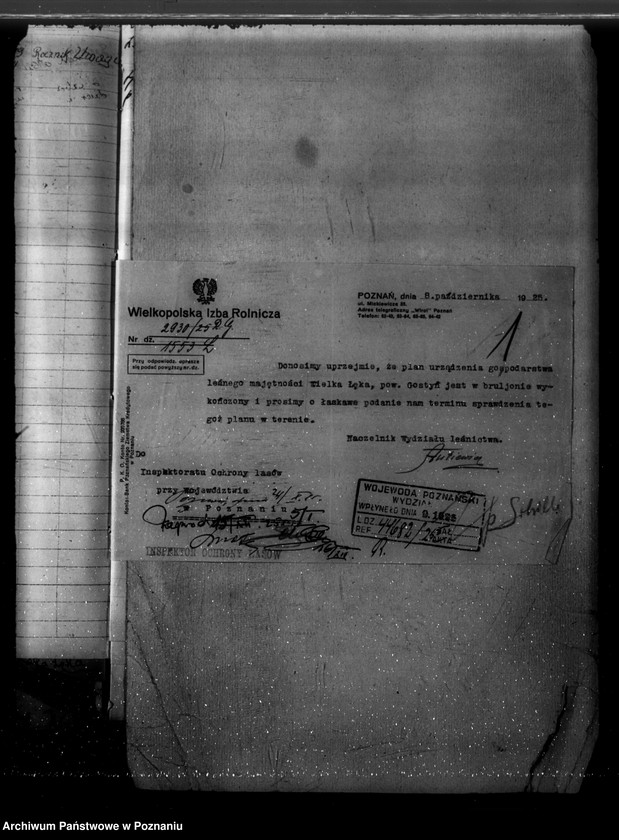 Obraz 5 z jednostki "Majętność /leśna/ Wielkie Łęki powiat kościański"