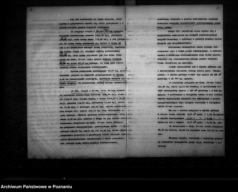 Obraz 14 z jednostki "Ogólny opis lasu majętności Września (plan cięć i plan urządzenia gospodarstwa leśnego)"