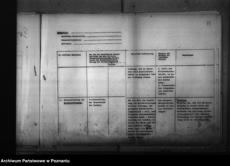 Obraz 15 z jednostki "Podział czynności dla Gaueinsatztab"