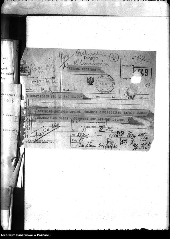 Obraz 15 z jednostki "Zaraza płucna - Odolanów"