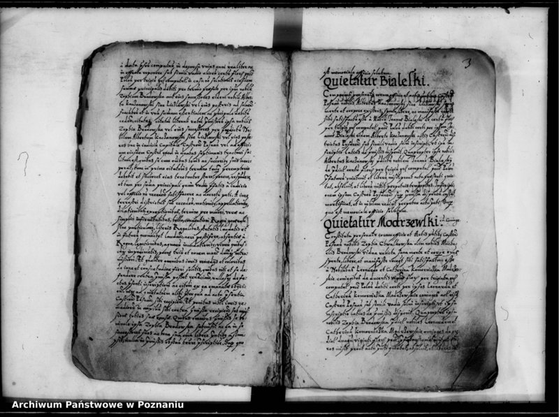 Obraz 6 z jednostki "Inscriptiones, relationes [inducta]"