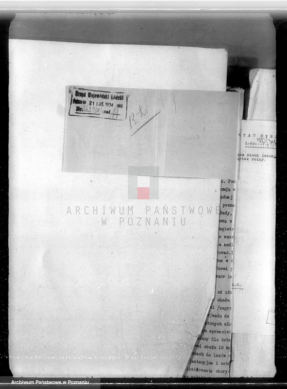 Obraz 10 z jednostki "Sprawa zmiany wydzielenia około 1300 ha gruntów leśnych w lasach miasta Pyzdry ewentualnie z przymusową likwidacją serwitutów wsi Holendry Pyzderskie"