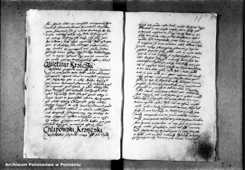 Obraz 18 z jednostki "Inscriptiones, relationes [inducta]"