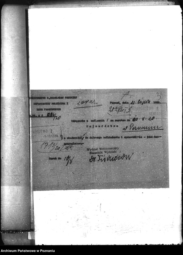 Obraz 7 z jednostki "Nosacizna - Kościan"