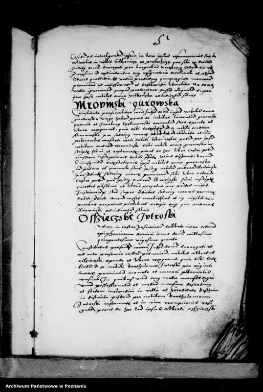 Obraz 11 z jednostki "Inscriptiones, relationes, decreta [inducta]"