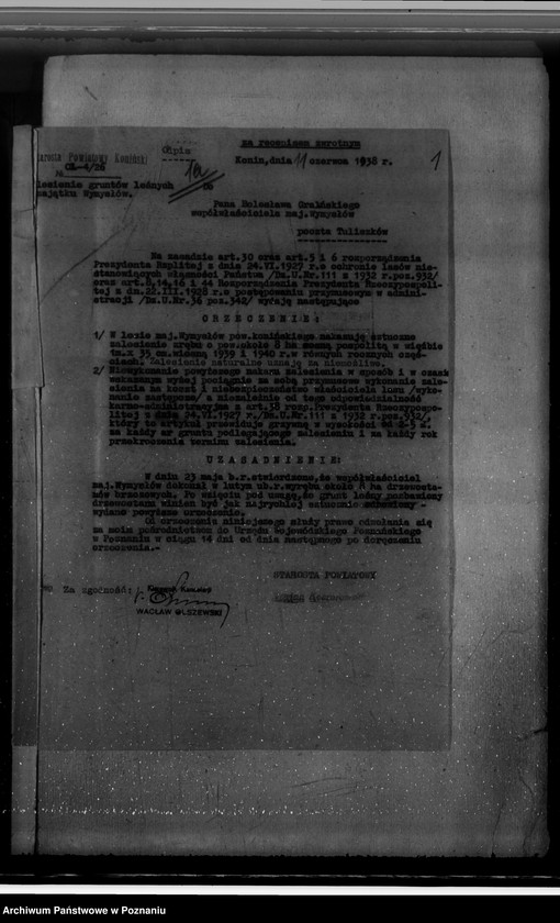 Obraz 5 z jednostki "Gmina Wymysłów powiat koniński /nadzór nad gospodarką leśną/"