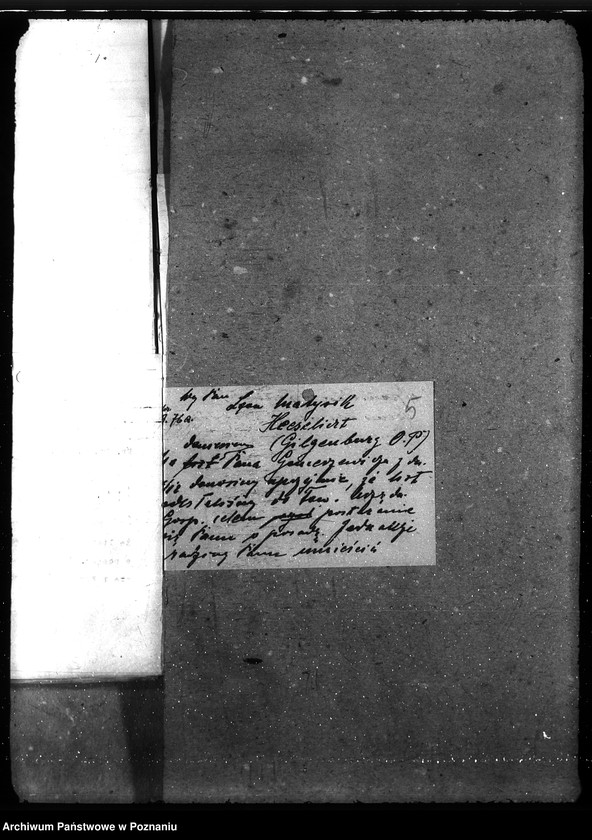 Obraz 9 z jednostki "Posady - zgłoszenia"