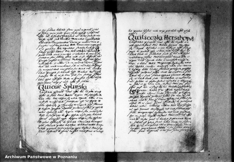 Obraz 12 z jednostki "Inscriptiones, relationes [inducta]"