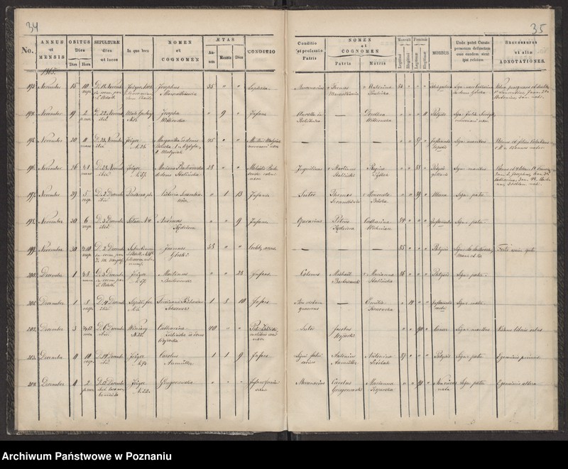 Obraz 20 z jednostki "Księga zgonów"