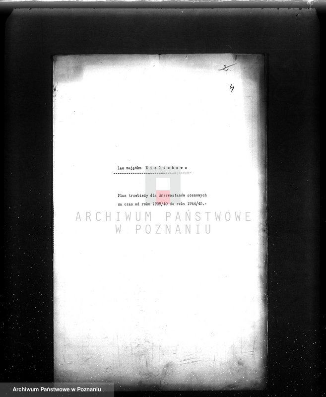 Obraz 8 z jednostki "/Las majątku Wielichowo/"