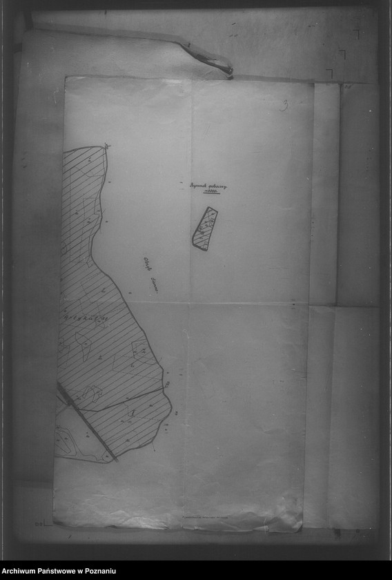 Obraz 10 z jednostki "/Mapy majętności Kotomierz powiatu bydgoskiego/"