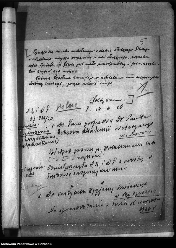 Obraz 9 z jednostki "Instytut Higieny Zwierząt w Bydgoszczy"