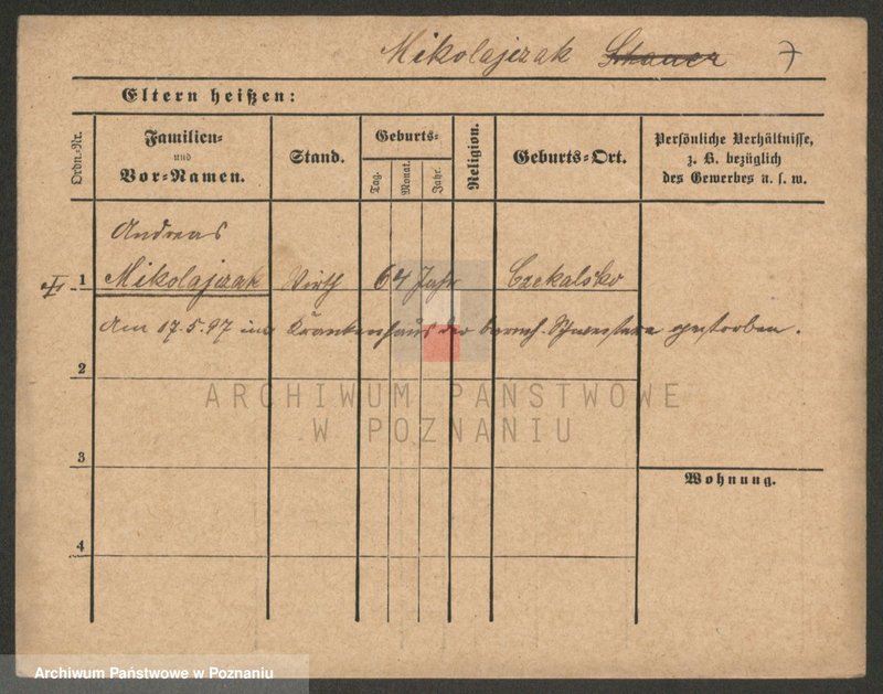 Obraz 9 z jednostki "Mikołajczak (żonaci i wdowy)"