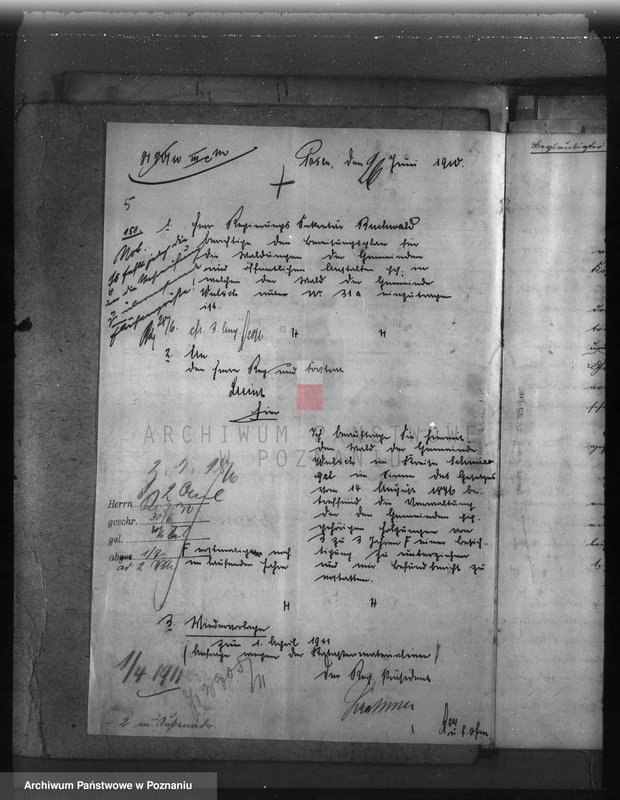 Obraz 9 z jednostki "Las gminy Olszewo powiat ostrowski"