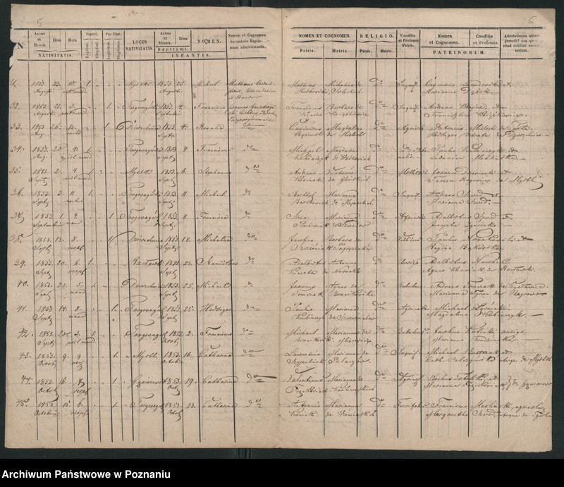 image.from.unit.number "Duplicatus baptisatorum"