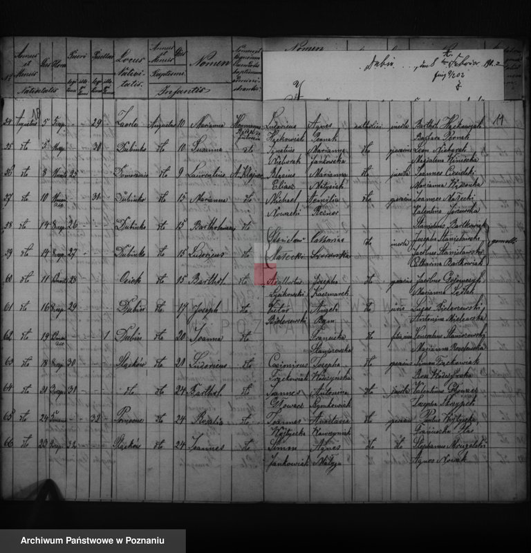 image.from.unit.number "Duplikatus baptisatorum, copulatorum, mortuorum"