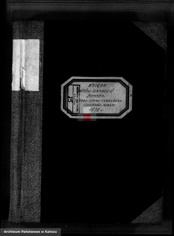 image.from.unit.number "[Księga urodzeń]"