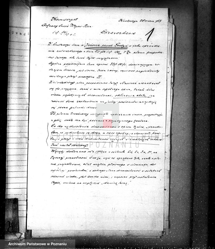 Obraz 5 z jednostki "Majętność leśna Jeżewo w powiecie gostyńskim"