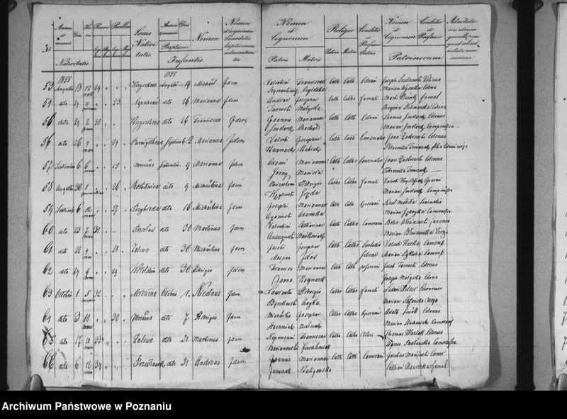 image.from.unit.number "Liber baptisatorum"