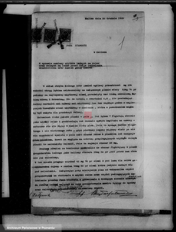 Obraz 5 z jednostki "Majątek Kamień powiat kaliski /sprawy leśne/"