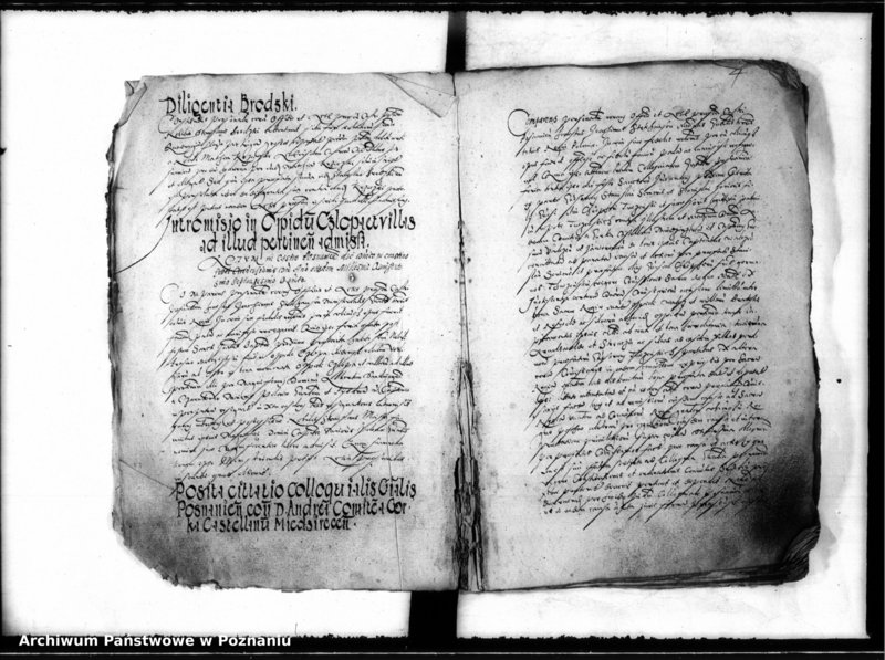 Obraz 8 z jednostki "Inscriptiones, relationes [inducta]"