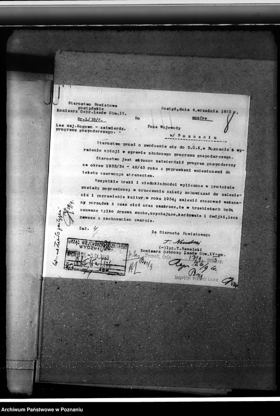 Obraz 12 z jednostki "Nadzór nad gospodarką w lasach majętności Rogowo w powiecie gostyńskim"