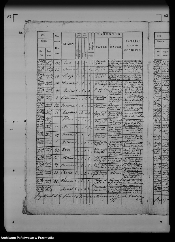 image.from.unit.number "[Kopie ksiąg metrykalnych parafii Drohojów z filiami Hnatkowice, Trójczyce, Zabłotce (dekanat Radymno)]"